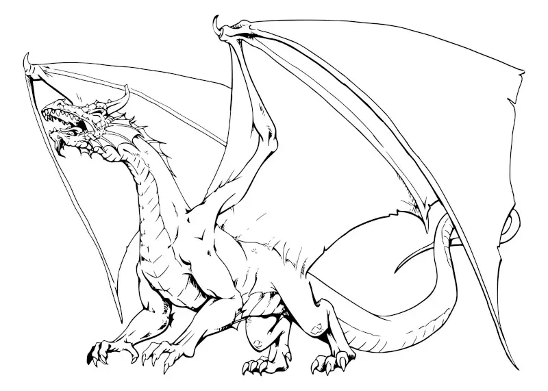 Large Dragon Drawing with Wings Open